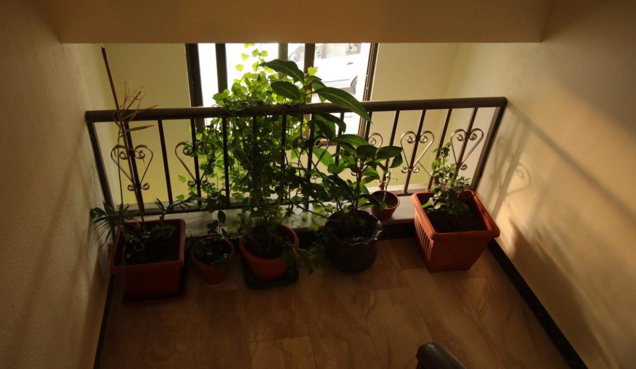 WhatsApp Image 2020-01-17 at 11.37.56 PM (8)