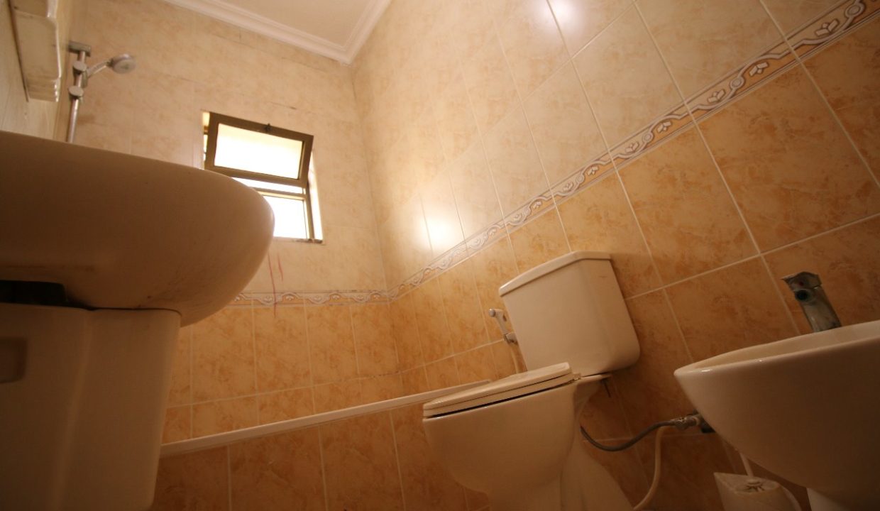 WhatsApp Image 2020-01-17 at 9.45.22 PM (5)