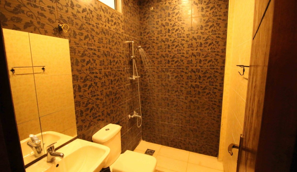 WhatsApp Image 2020-03-23 at 9.59.35 PM (3)