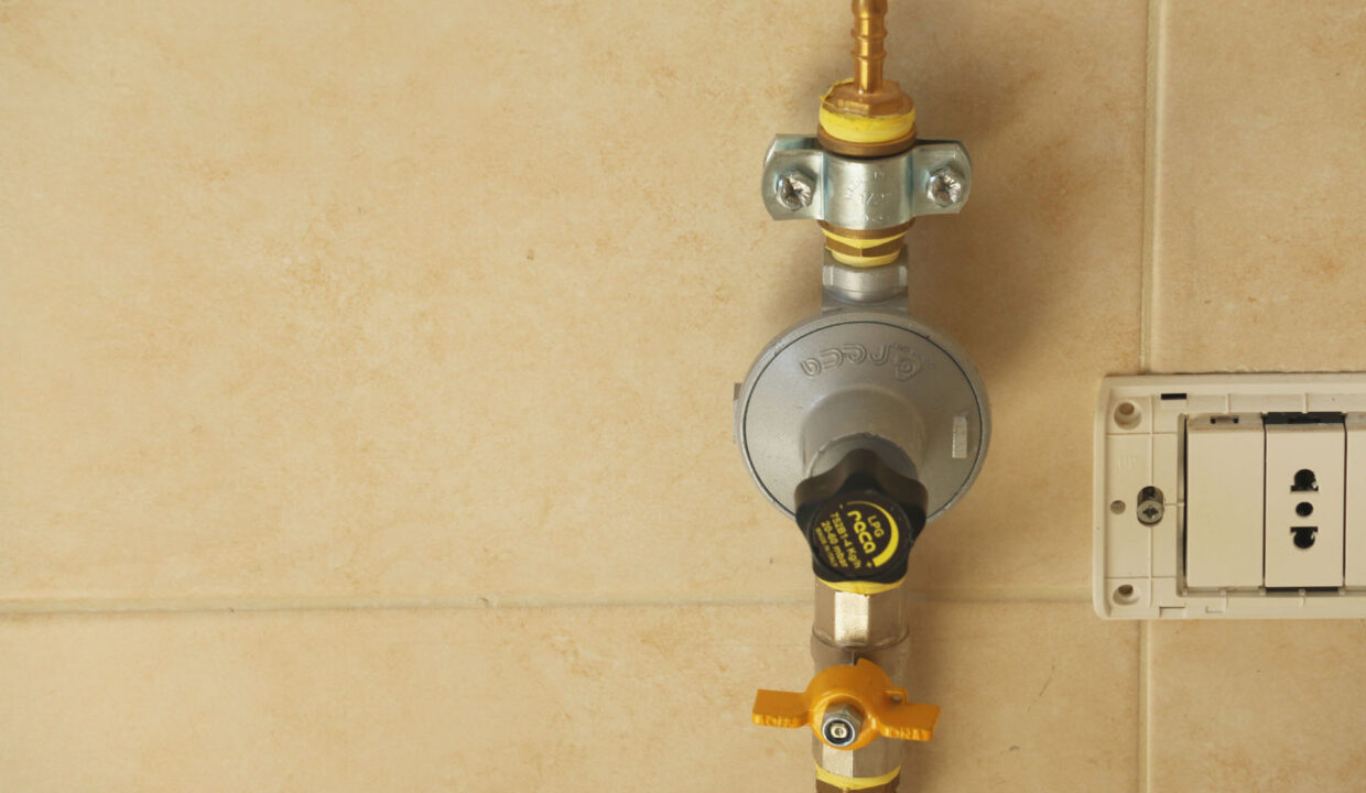 20200927141218_IMG_0876 copy